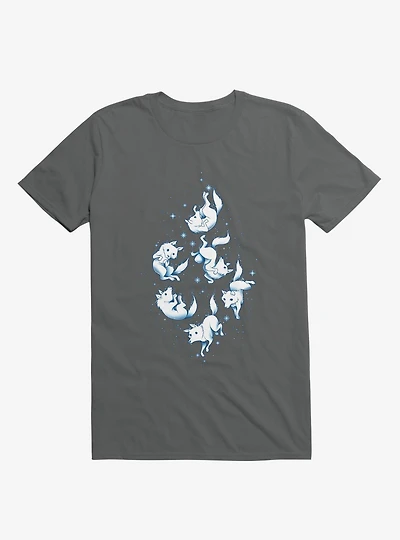 Winter Is Coming Charcoal Grey T-Shirt