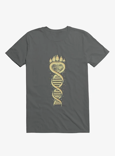 Bear DNA Charcoal Grey T-Shirt