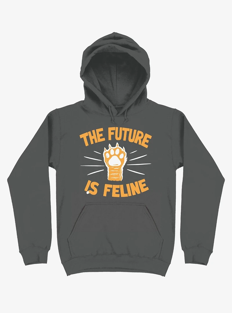 The Future Is Feline Cat Hoodie