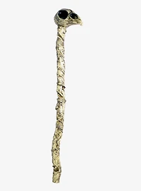 Crow Head Staff