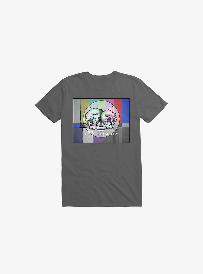 Please Stand By... T-Shirt