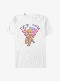 Marvel Guardians of the Galaxy Prideful Groot T-Shirt