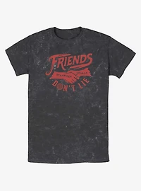 Stranger Things Friends Don't Lie Mineral Wash T-Shirt
