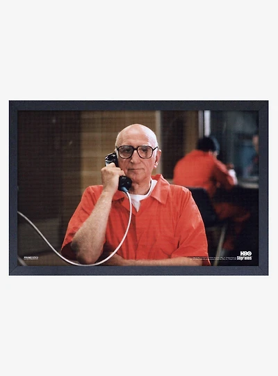 The Sopranos Jail Framed Wood Wall Art