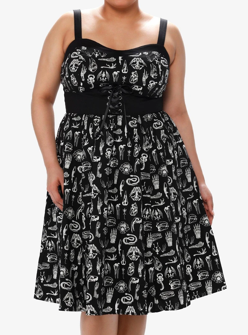 Social Collision Animal Anatomy Retro Swing Dress Plus Size