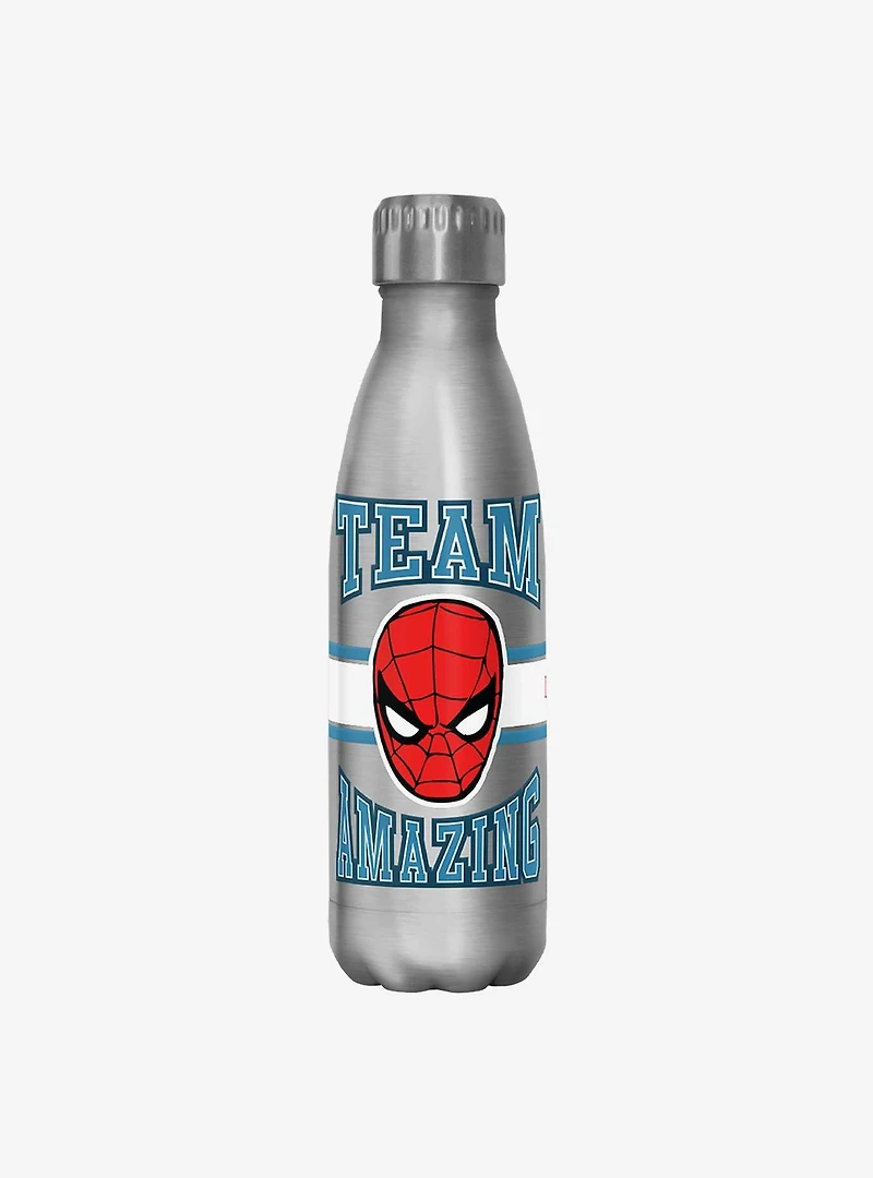 Marvel Spider-Man Team Amazing Stainless Steel Water Bottle