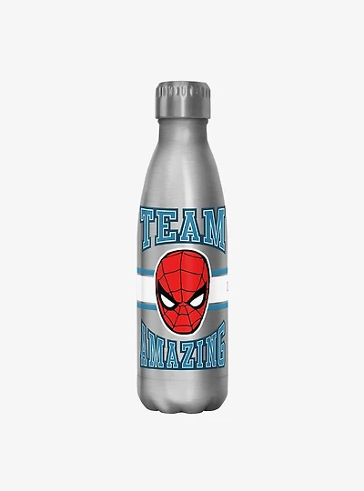 Marvel Spider-Man Team Amazing Stainless Steel Water Bottle