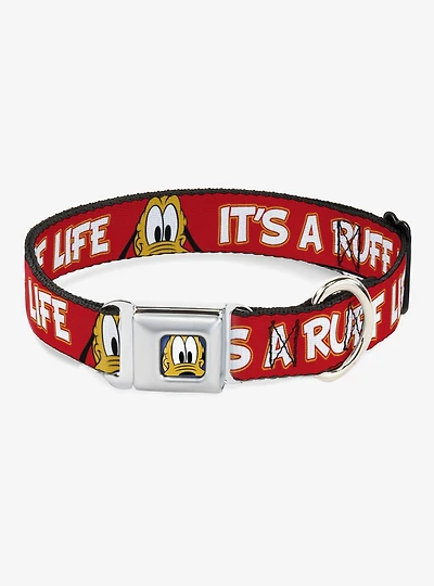 Disney Pluto Its A Ruff Life Seatbelt Buckle Dog Collar