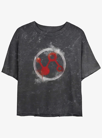 Marvel Ant-Man and the Wasp: Quantumania Pym Technologies Icon Mineral Wash Girls Crop T-Shirt