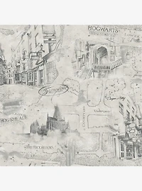 Harry Potter Taupe Map Peel & Stick Wallpaper