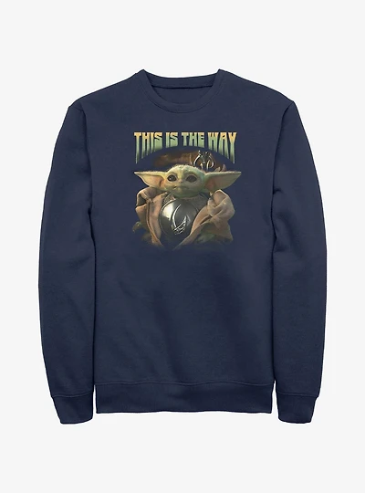 Star Wars The Mandalorian Grogu Clan of Two Sweatshirt Hot Topic Web Exclusive