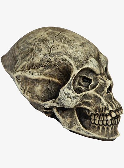 Alien Skull Decor