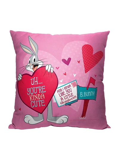Looney Tunes Love Letter Printed Throw Pillow