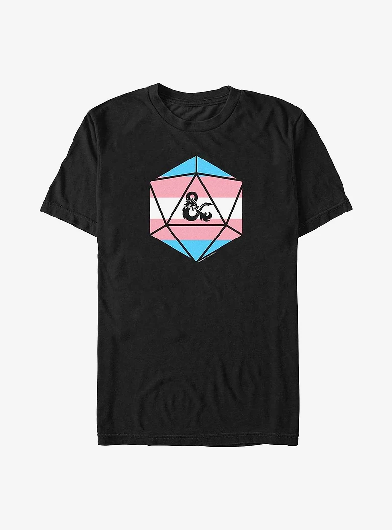 Dungeons & Dragons Trans Ampersand Big Tall T-Shirt