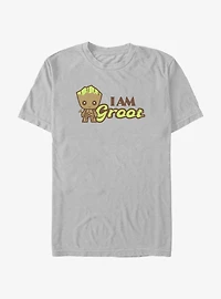 Marvel Guardians of the Galaxy Groot In Bloom T-Shirt