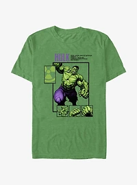 Marvel Hulk Hulk Boxed T-Shirt