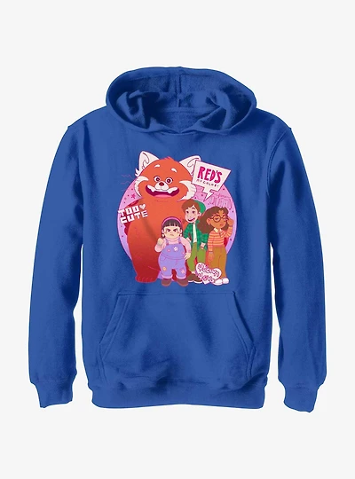 Disney Pixar Turning Red Panda Group Youth Hoodie