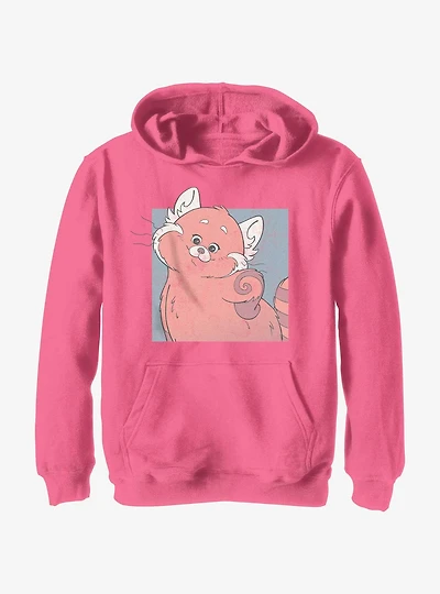 Disney Pixar Turning Red Mei Panda Portrait Youth Hoodie