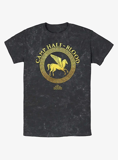 Disney Percy Jackson And The Olympians Camp Half Blood Emblem Logo Mineral Wash T-Shirt