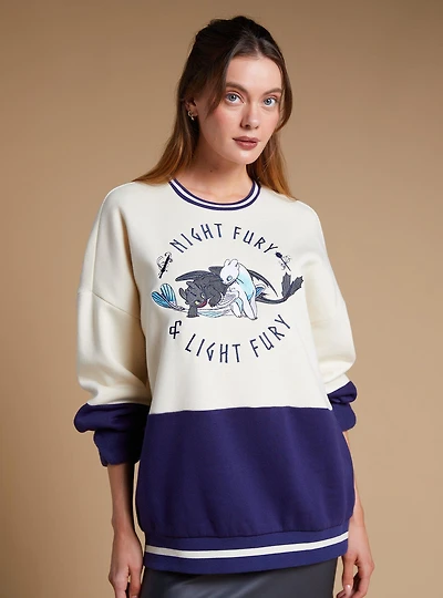 DreamWorks How To Train Your Dragon Toothless & Light Fury Panel Crewneck - BoxLunch Exclusive