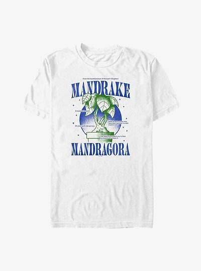 Harry Potter Mandrake Mandragora Big & Tall T-Shirt