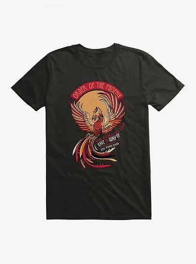 Harry Potter Order Of The Phoenix Things We Lose T-Shirt