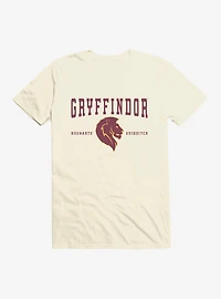 Harry Potter Gryffindor Quidditch Symbol T-Shirt