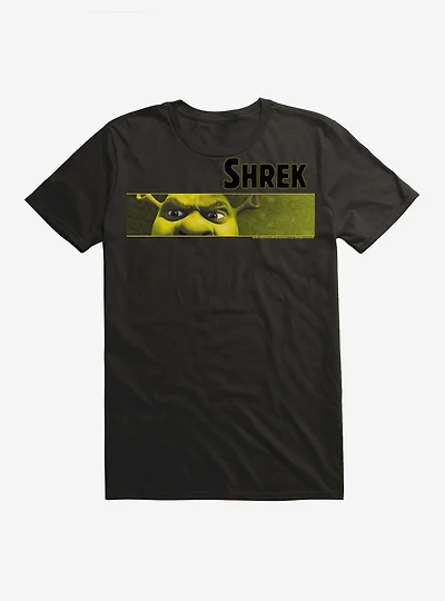 Shrek Rectangle Frame T-Shirt