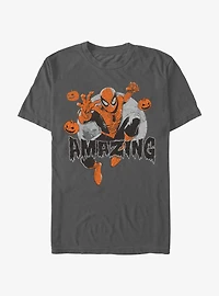 Marvel Spider-Man Amazingly Fly Garment Dye T-Shirt