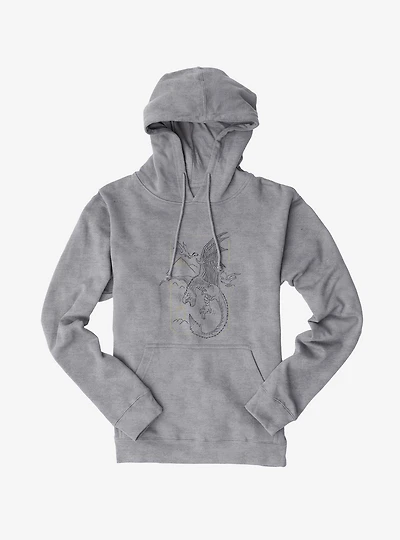 Harry Potter Dragon Flight Hoodie