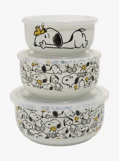 Peanuts Snoopy & Woodstock Food Storage Bowl & Lid Set