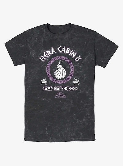 Disney Percy Jackson And The Olympians Hera Cabin Mineral Wash T-Shirt