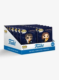 Funko Pop! Harry Potter Character Blind Assorted Vinyl Figure Pin