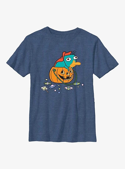 Phineas And Ferb Fang Perry Pumkin Youth T-Shirt