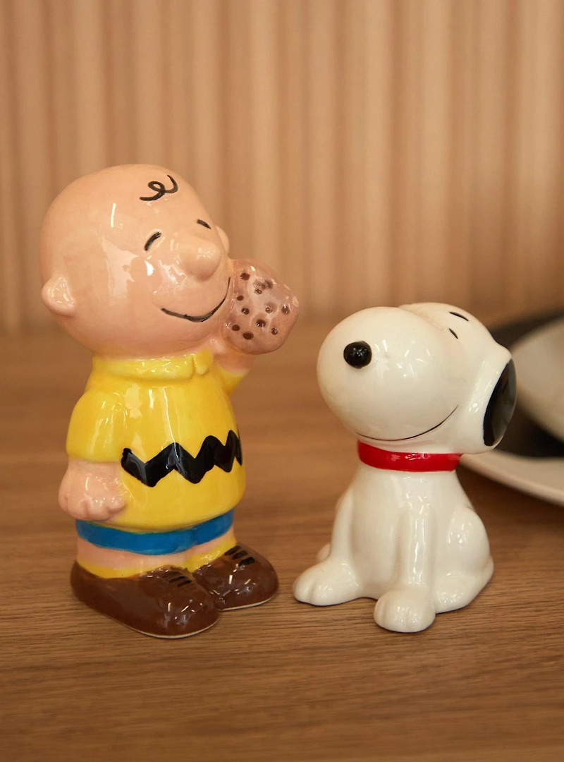 Peanuts Snoopy & Charlie Brown Salt and Pepper Shaker Set — BoxLunch Exclusive