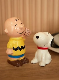 Peanuts Snoopy & Charlie Brown Salt and Pepper Shaker Set — BoxLunch Exclusive