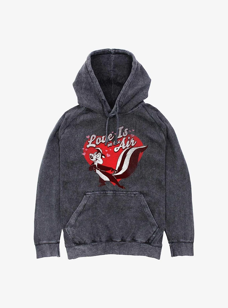 Looney Tunes Love Is The Air Mineral Wash Hoodie
