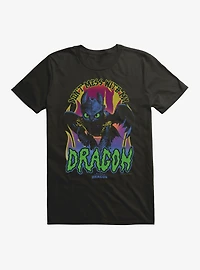 HTTYD Don't Mess With My Dragon T-Shirt