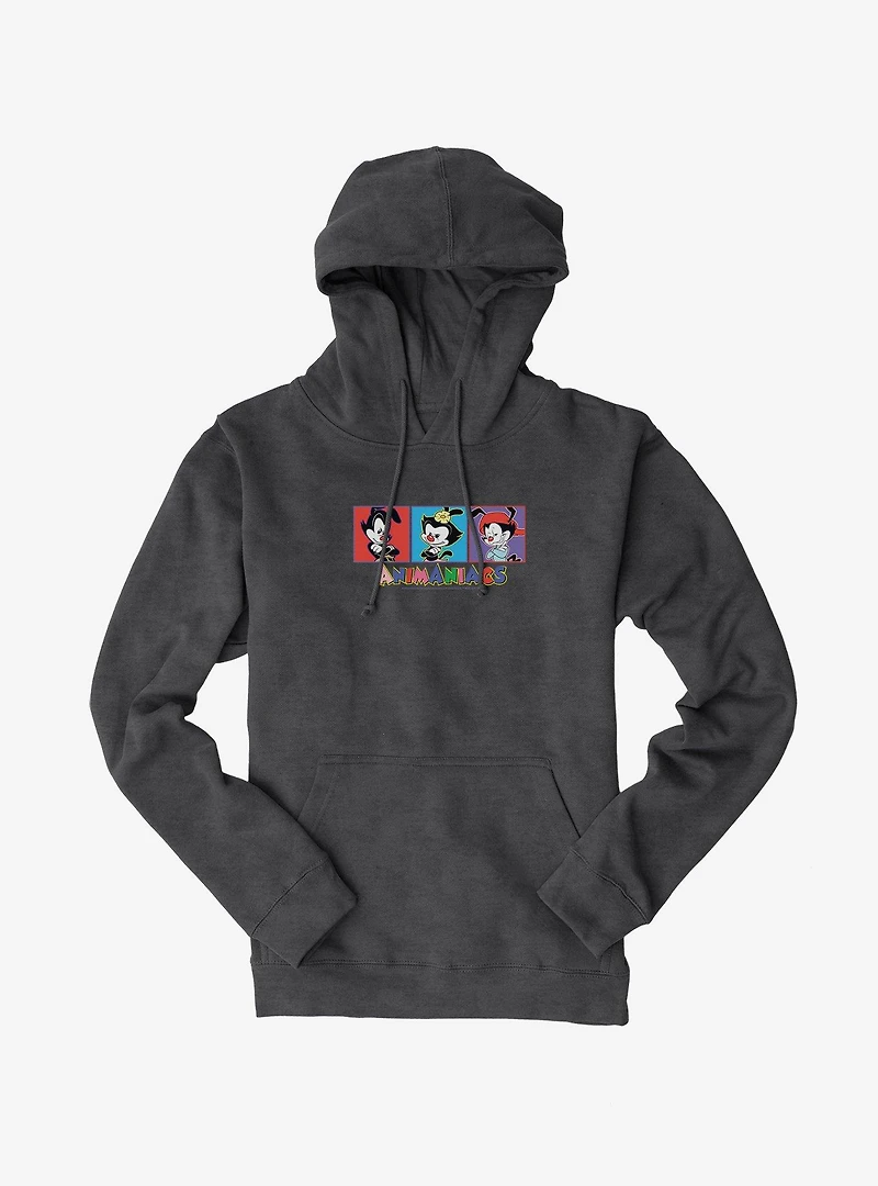 Animaniacs Yakko, Dot, And Wakko Hoodie
