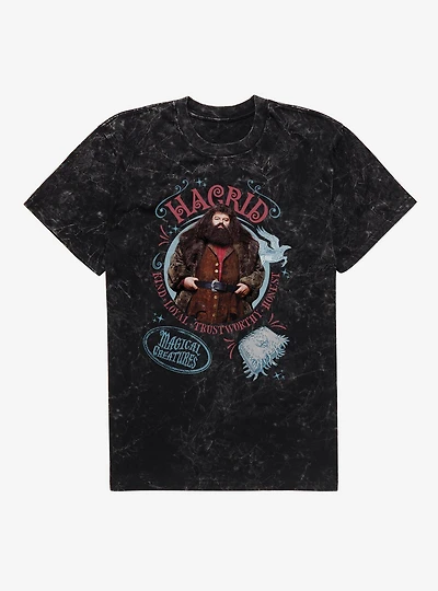 Harry Potter Hagrid Traits Mineral Wash T-Shirt