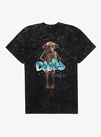 Harry Potter Free Elf Dobby Mineral Wash T-Shirt