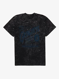 Harry Potter Gringotts Mineral Wash T-Shirt