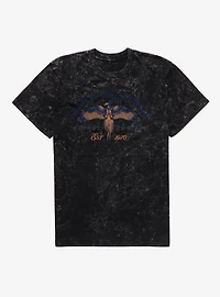 Harry Potter Order Of The Phoenix Mineral Wash T-Shirt
