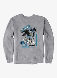 DC Batman & Robin Dynamic Duo Sweatshirt
