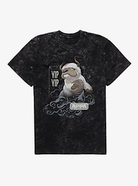 Avatar: The Last Airbender Appa Yip Mineral Wash T-Shirt