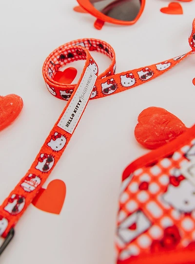 Sassy Meow Sanrio Hello Kitty Icons Gingham Cat Leash