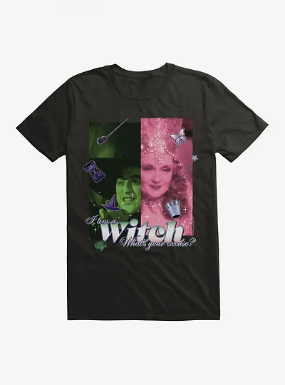 The Wizard Of Oz I Am A Witch What's Your Excuse? T-Shirt