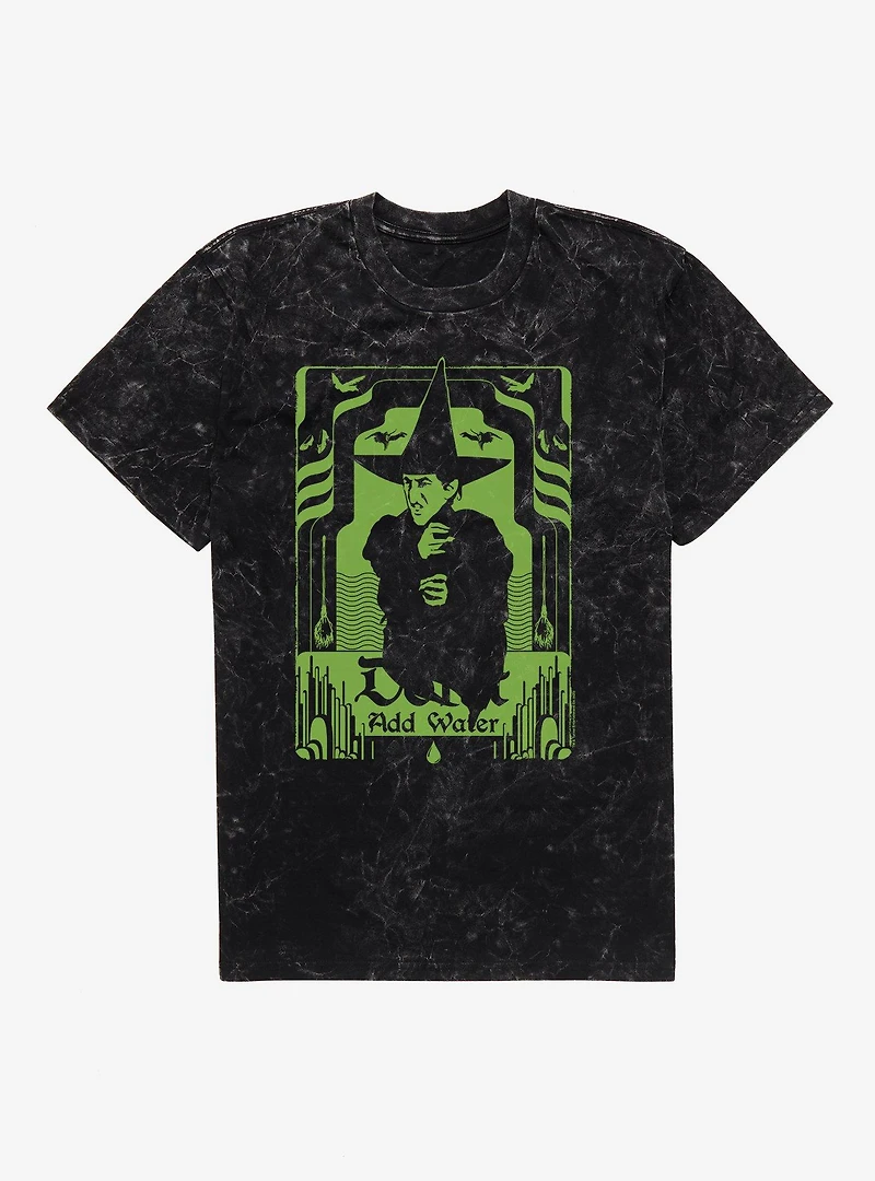 The Wizard Of Oz Wicked Witch Don't Add Water Mineral Wash T-Shirt