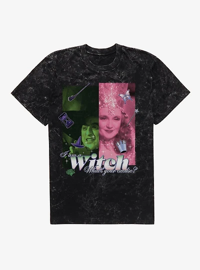 The Wizard Of Oz I Am A Witch What's Your Excuse? Mineral Wash T-Shirt