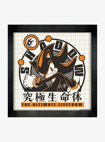Sonic The Hedgehog Ultimate Lifeform Framed Wall Art